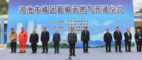 广西河池新闻爆料视频播放,事件详情曝光